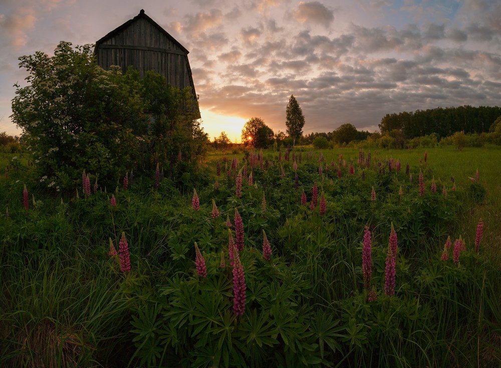 Красочное утро