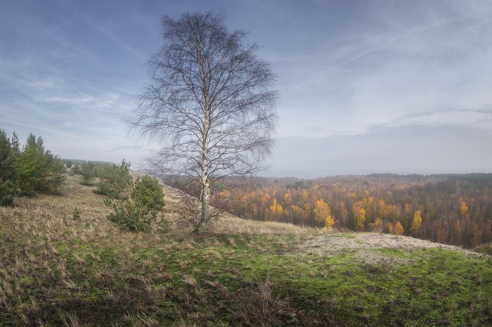 Photograph by Павел Кухоренко