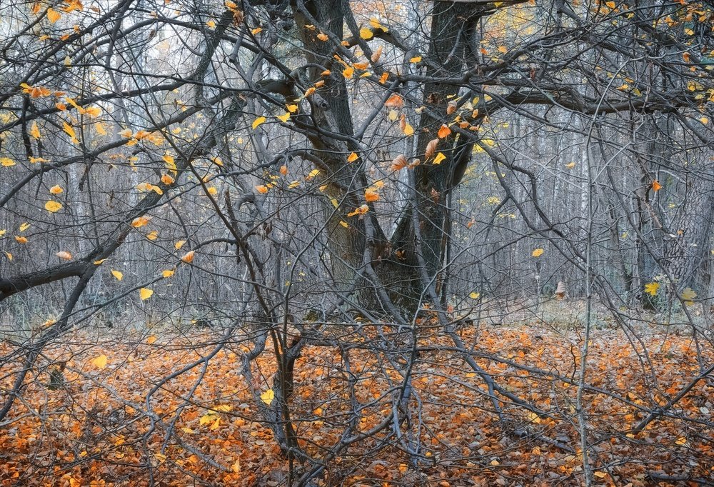 Photograph by Павел Кухоренко