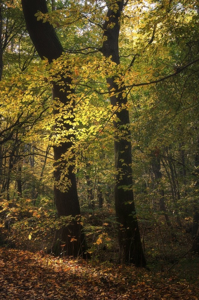 Photograph by Павел Кухоренко