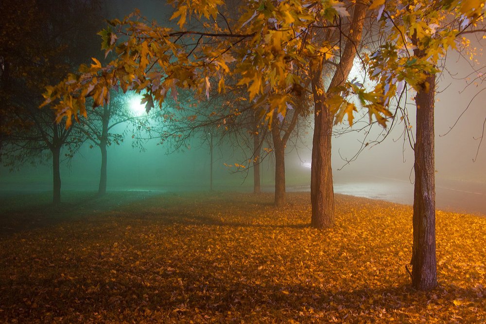 Photograph by Владислав Шигера