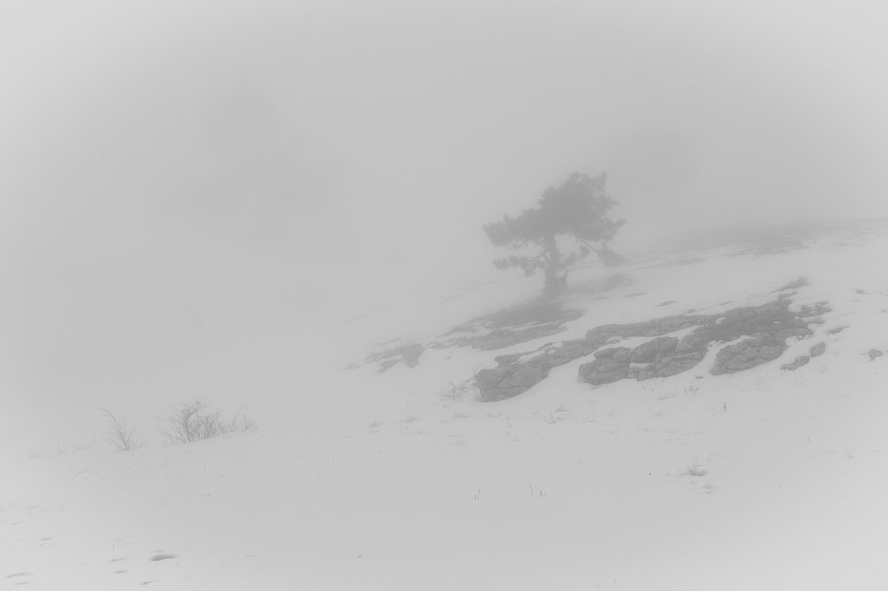 снежная пыль.