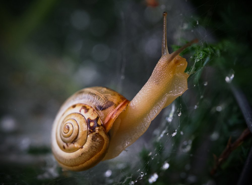 Photograph by Igor Ryzhov