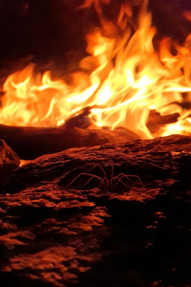 Фотография автора Денис Винарь