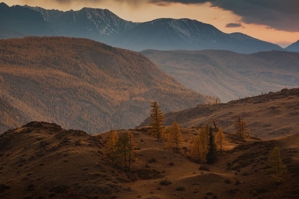 Золотые острова