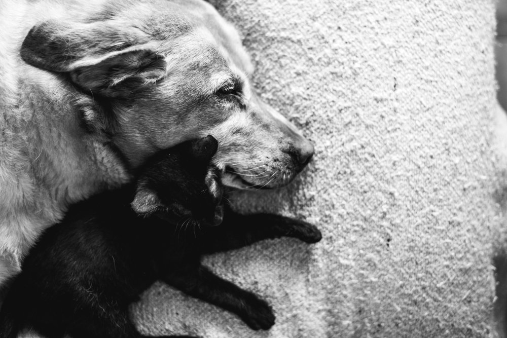 Photograph by Gisela Rasquela