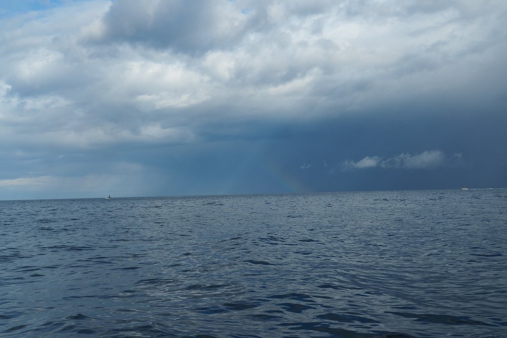 Photograph by Анна Тиунова