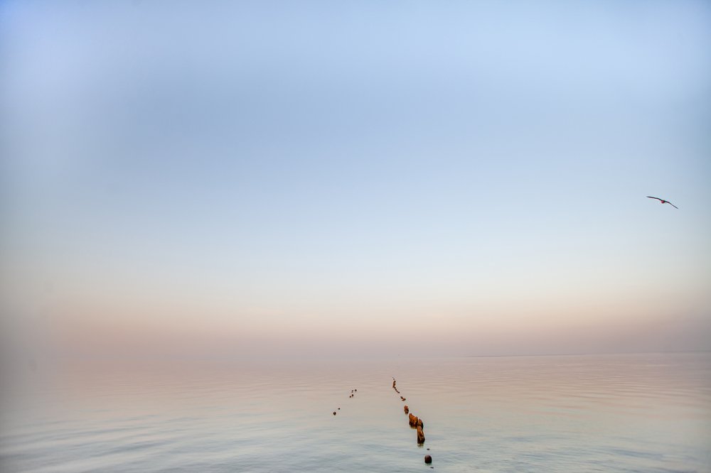 Photograph by Анна Чехарина