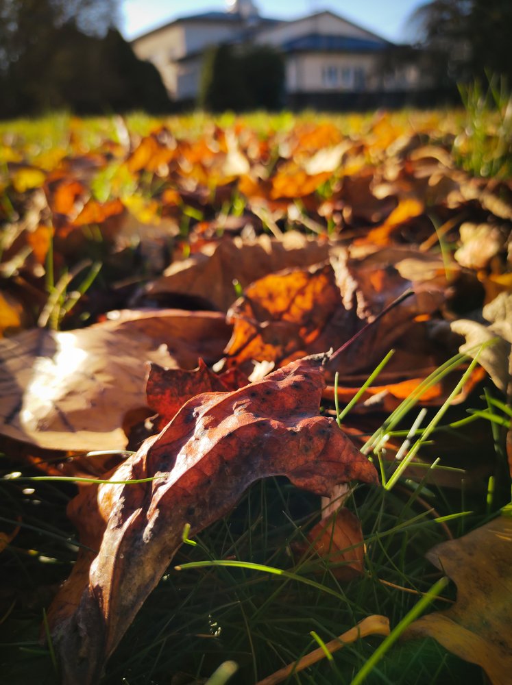 Photograph by Kristina Kozova