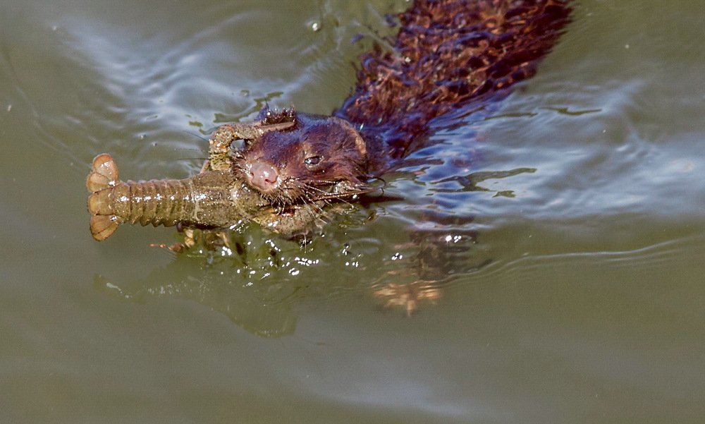 Photograph by Александр