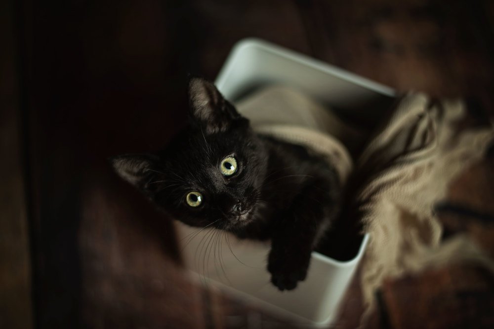 Photograph by Gisela Rasquela