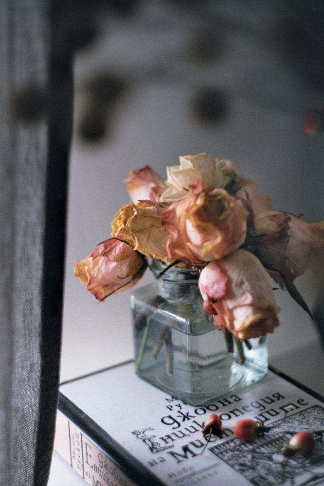 Photograph by Viktoria Todorova Angelova