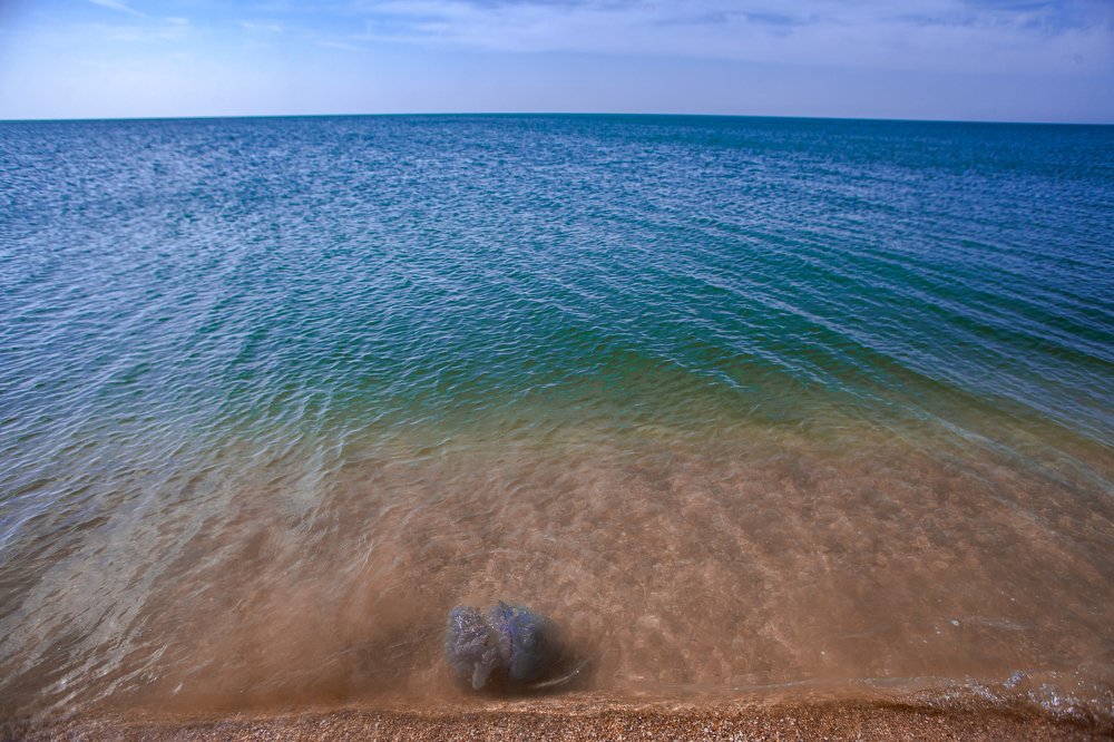 Photograph by Анна Чехарина