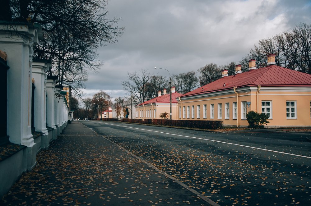 Photograph by Сафронова Любовь