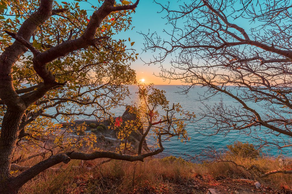 Photograph by Владимир Лысов