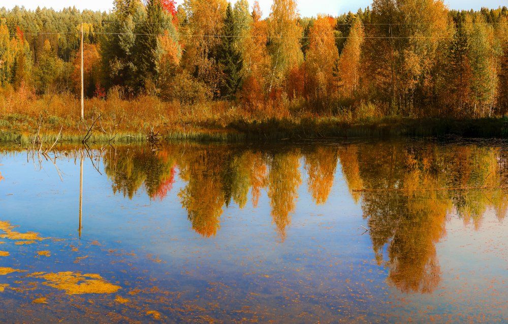 Photograph by Анатолий  Романов