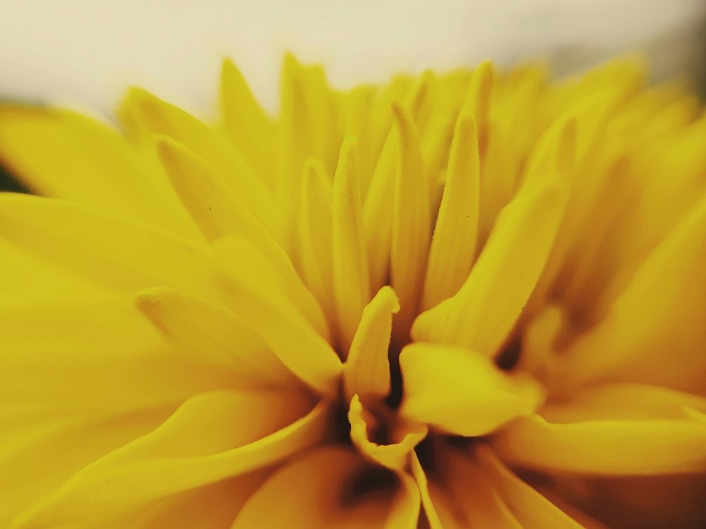 Photograph by Алсу Исмагилова