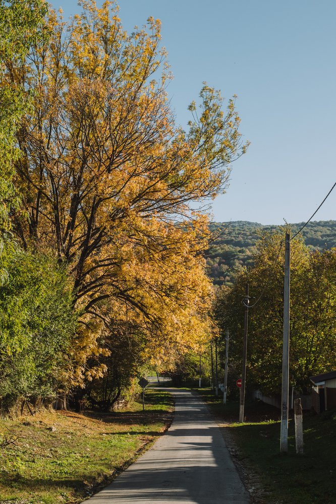 Photograph by Алексей Павленко