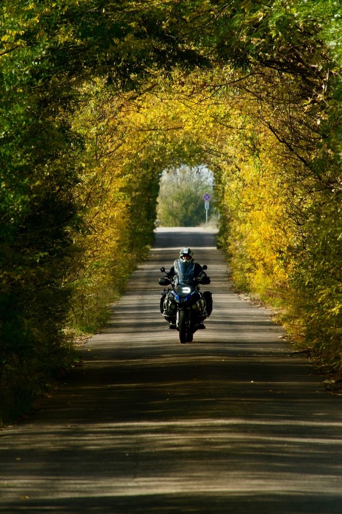 Photograph by Наталья Пирогова