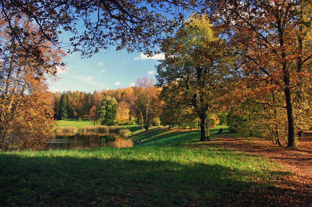 Photograph by Ирина Румянцева