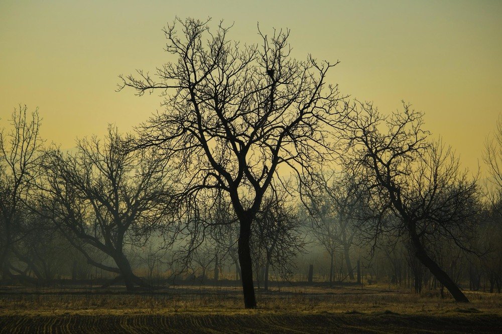 Photograph by Елизавета Калинина