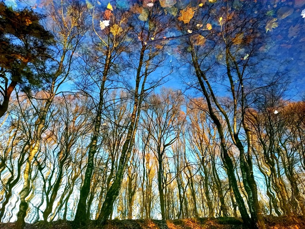 Photograph by Борис Каширин