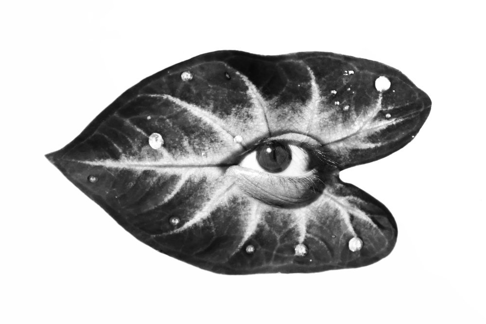 Photograph by Ibrahim Ahmed Chowdhury