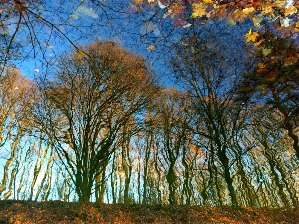 Photograph by Борис Каширин