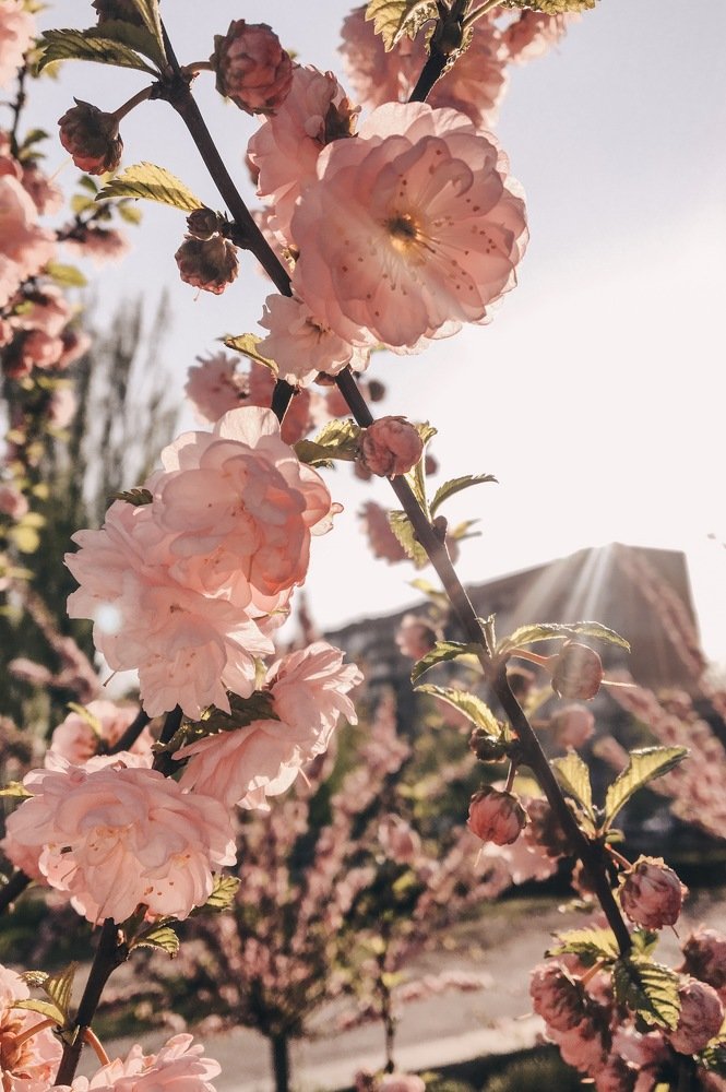 Photograph by Мила Брык