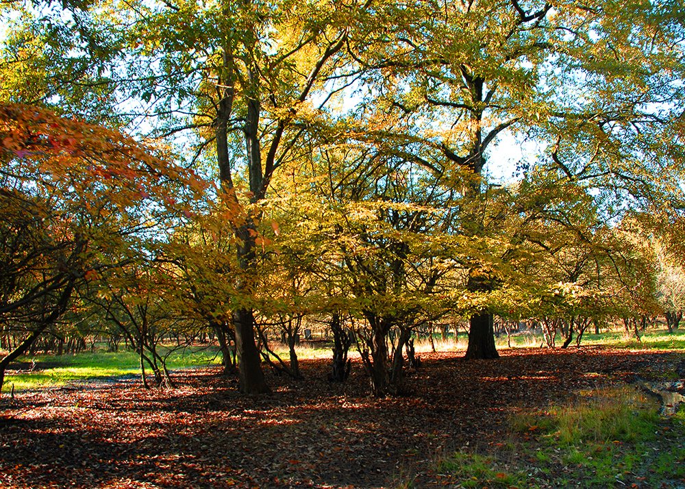 Photograph by Hengameh pirooz