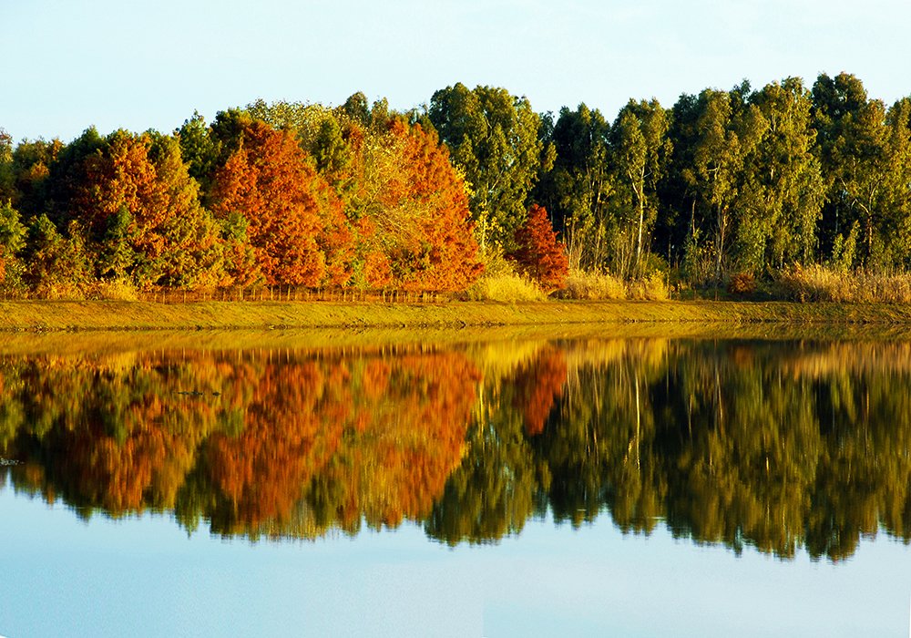 Photograph by Hengameh pirooz