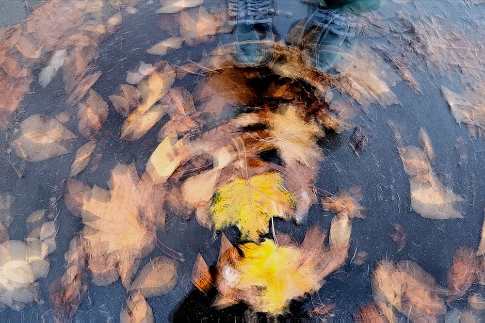 Photograph by Ирина Хромова