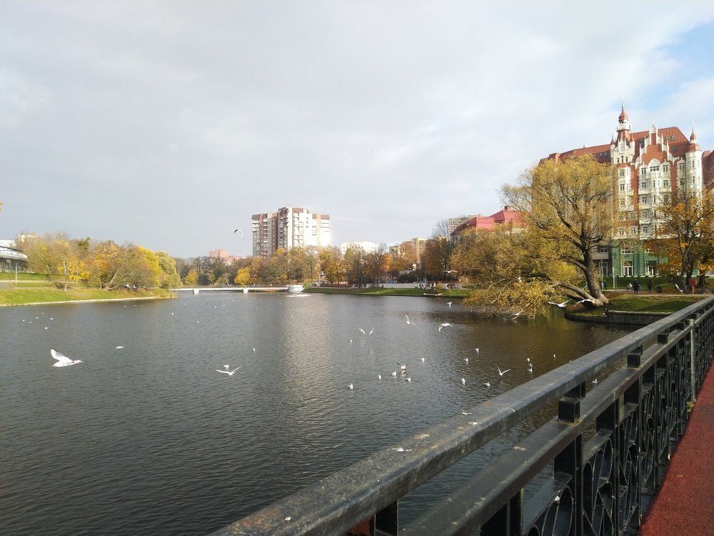 Photograph by Ирина Кулагина