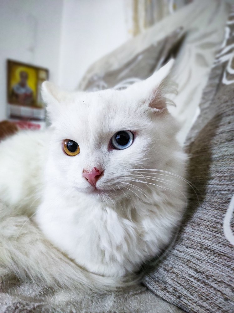 Photograph by Димитар Бирачоски