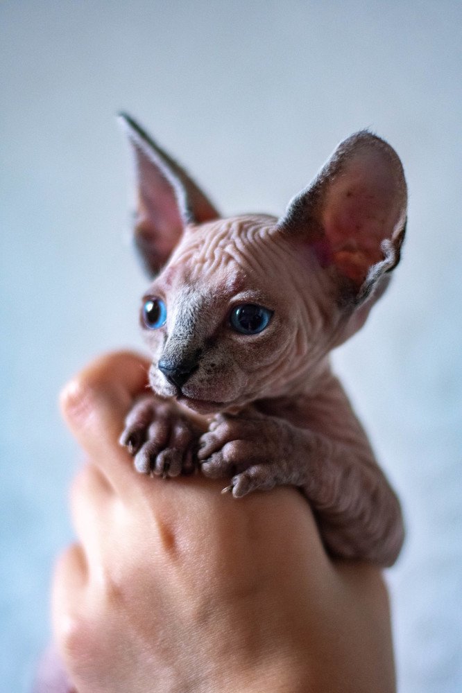 Photograph by Ксения Илюшина