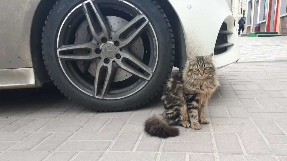 Photograph by Сергей Смирнов