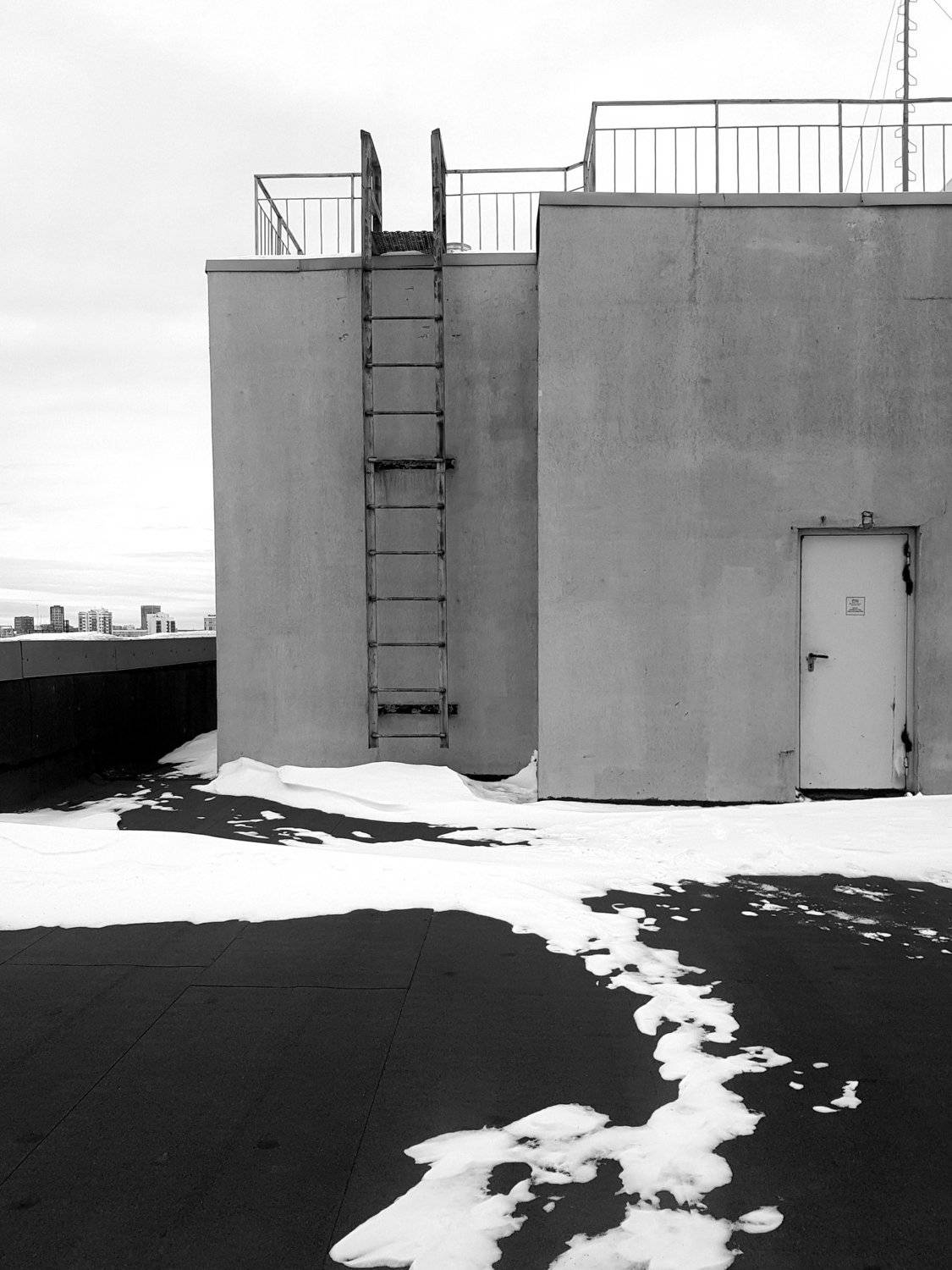 Photo #5210590