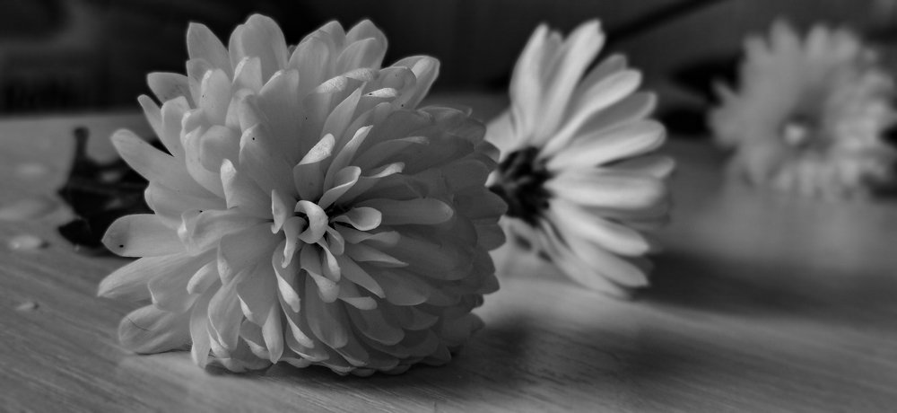 Photograph by Valentina