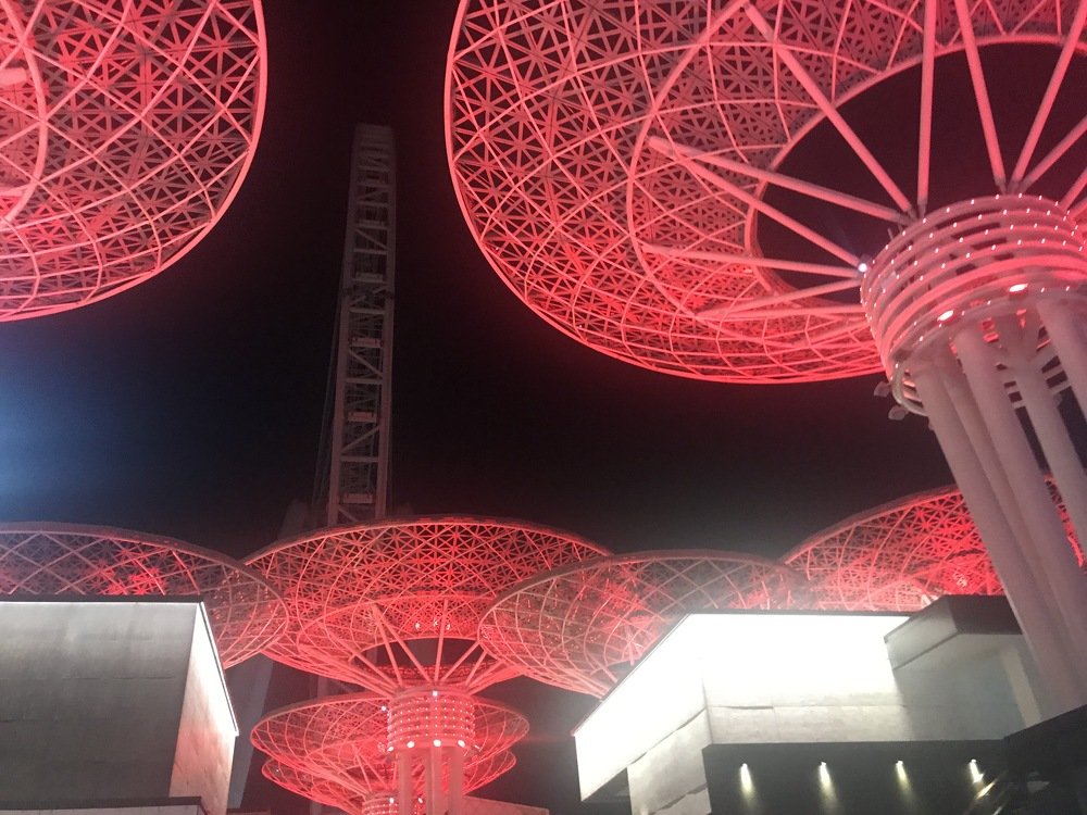 Photograph by Оксана Старостина