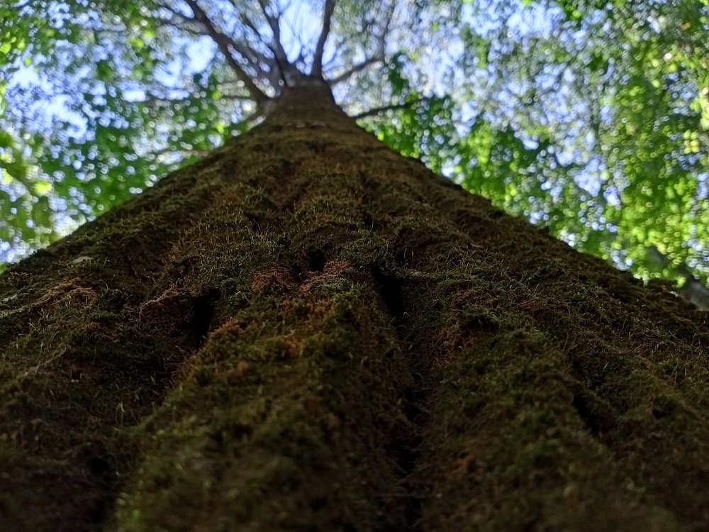 Photograph by Яшин Андрей