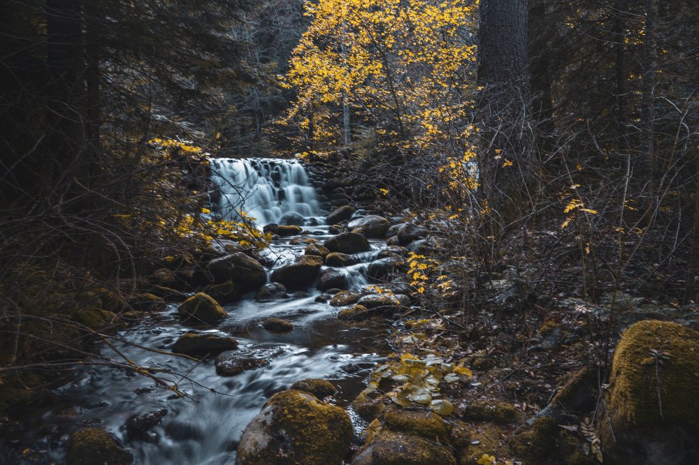 Photograph by Viktoria Todorova Angelova