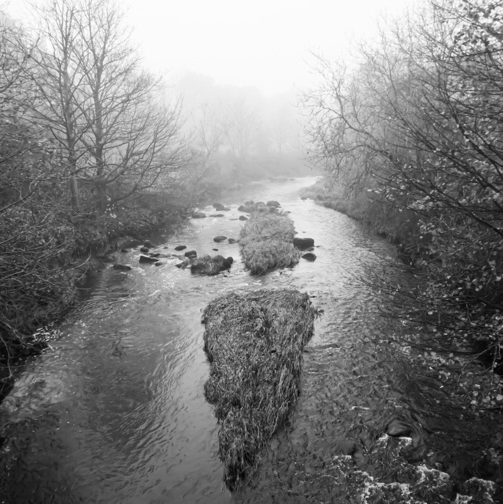 Photograph by Раиса Ламли