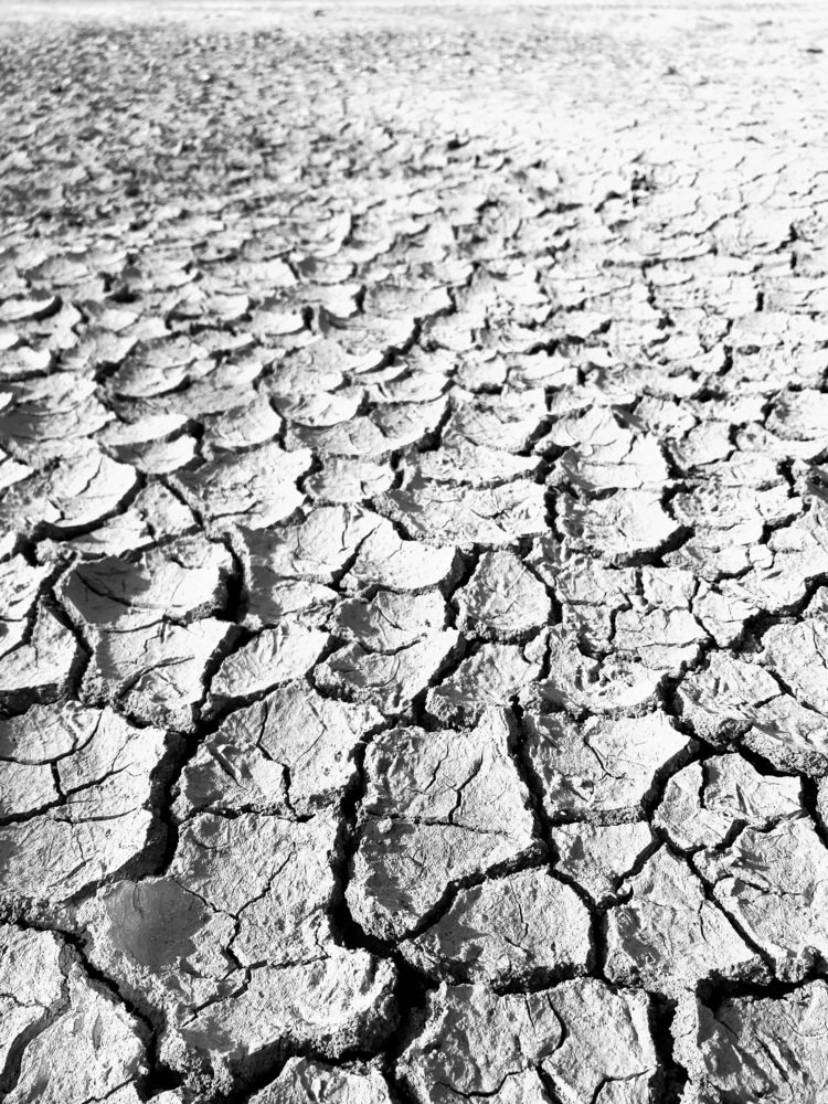 Фотография автора Анастасия Полякова