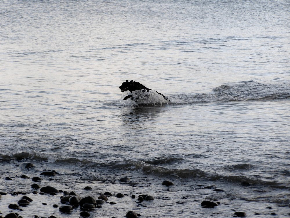 Photograph by Barbara Vankova