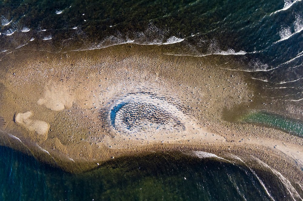 Photograph by Александр Абросимов