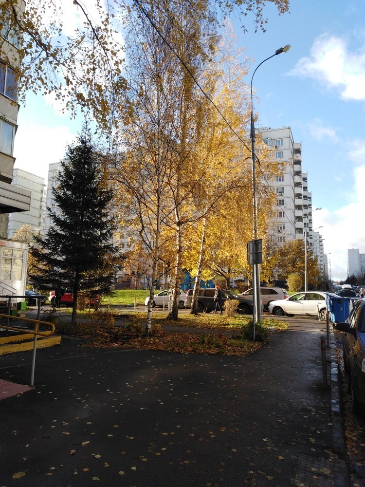 Photograph by Татьяна Ситникова