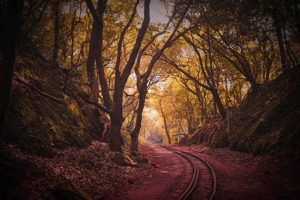 Photograph by Shubham Singh