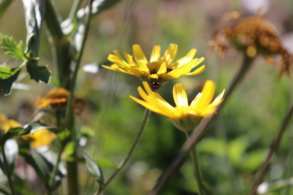 Photograph by Elif Valeriya Martinec