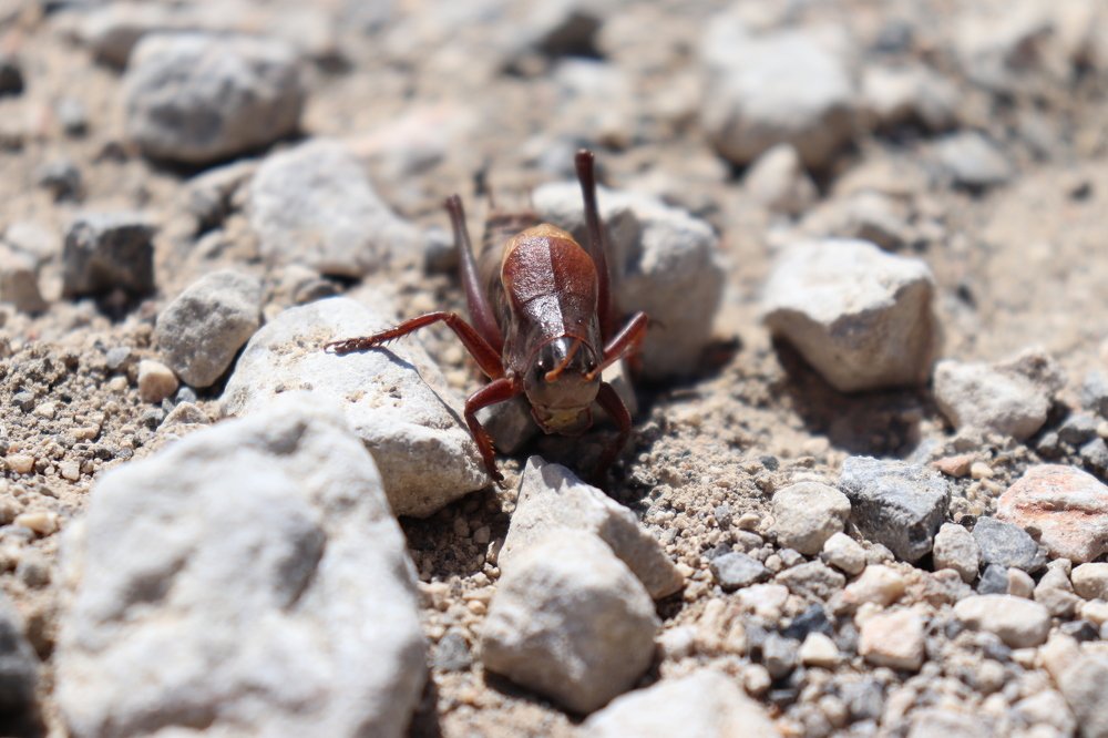 Photograph by Elif Valeriya Martinec