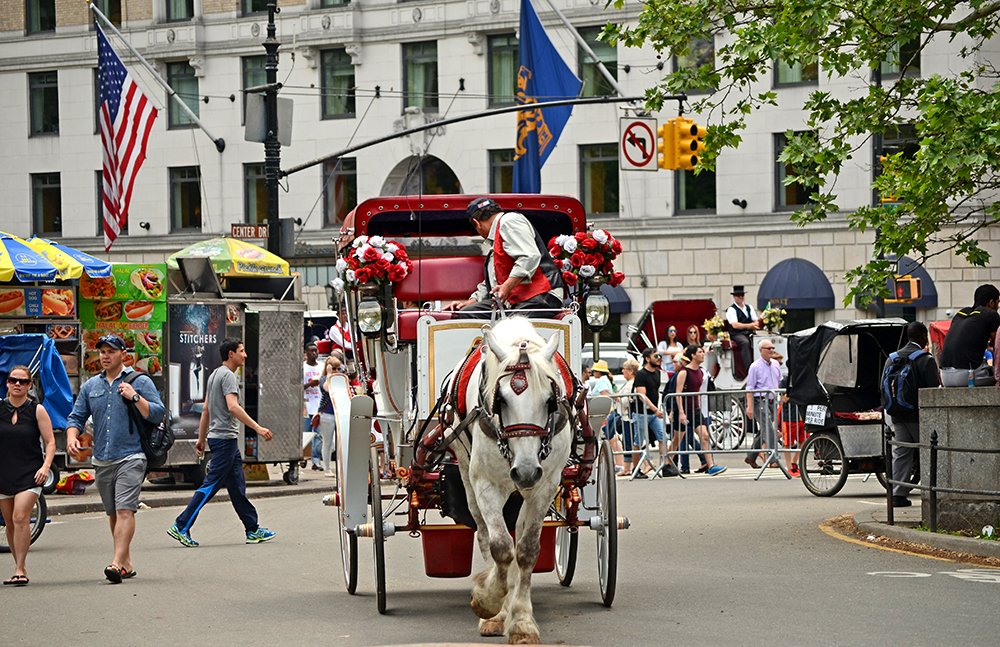 Photograph by Liliana Grup